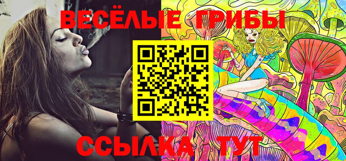 Псилоцибиновые грибы ЛСД Вязники