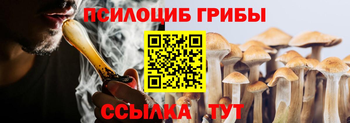 Галлюциногенные грибы мицелий  Псилоцибиновые грибы прущие грибы  Вход с VPN  Вязники 