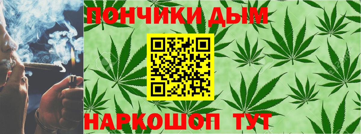 Каннабис планчик Вязники